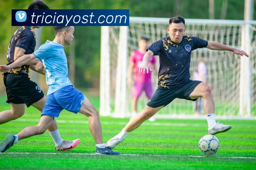奖项图2